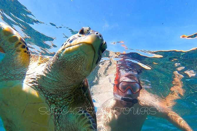 Daymaniyat Island Natural Reserve and Dolphin Watching - Location and Inclusions