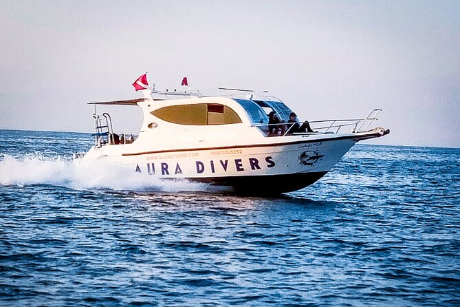 Daymaniyat Islands Snorkeling 2 Different Snorkeling Sites and Lunch Included - Meeting and Pickup