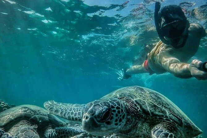 Daymaniyat Islands Snorkeling Half-Day Tour - Snorkeling Equipment Provided