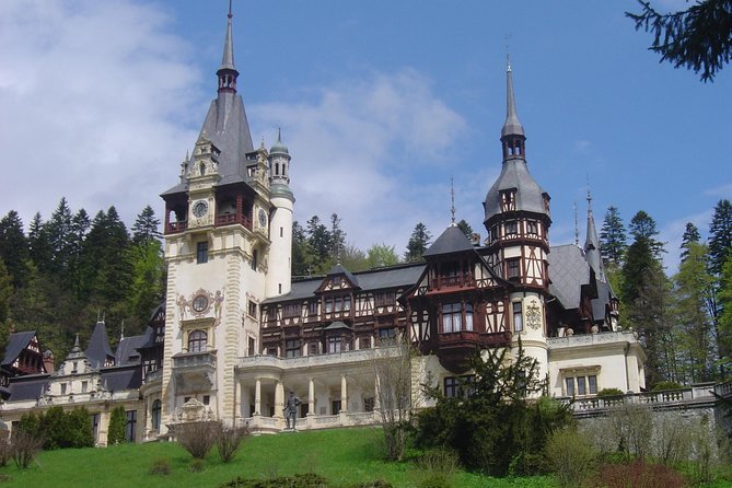 Daytour to Bran “Dracula'S” Castle + Peles Castle + Wine Tasting at Azuga Cellar - Inclusions