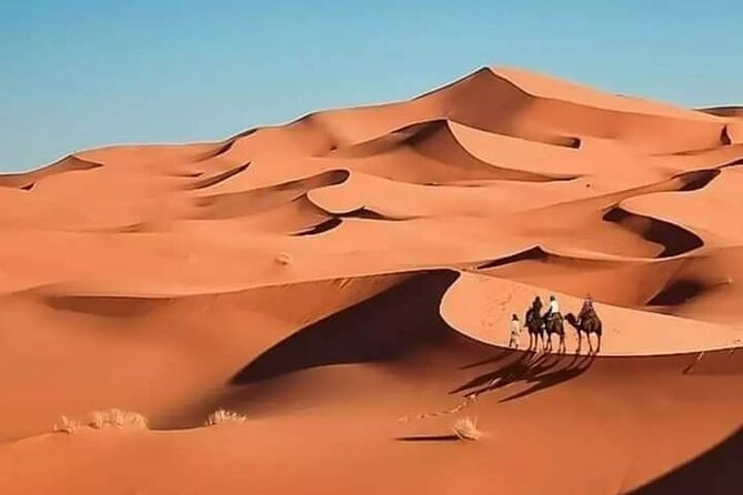 Desert Merzouga 3 Days Experience From Marrakesh - What to Expect
