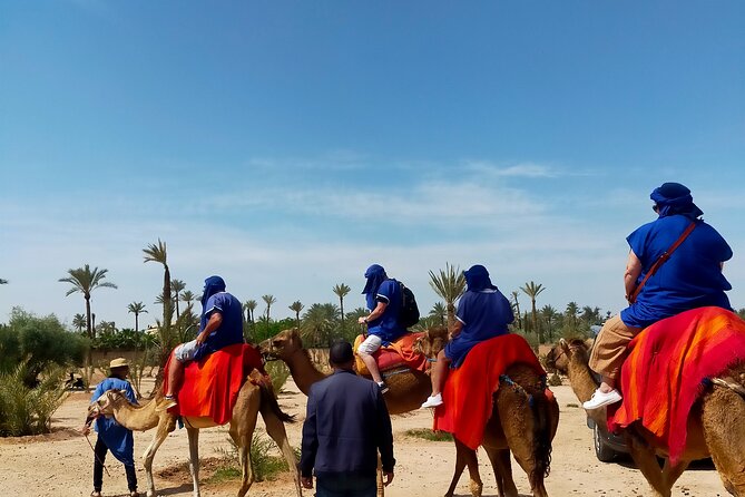 Desert Oasis Adventure: Camel Ride in Marrakechs Palm Grove - Meeting and Pickup Details