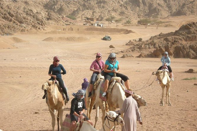Desert Quad Bike, Bedouin Dinner Show, Camel Riding in Sharm El Sheikh - Cancellation Policy Details