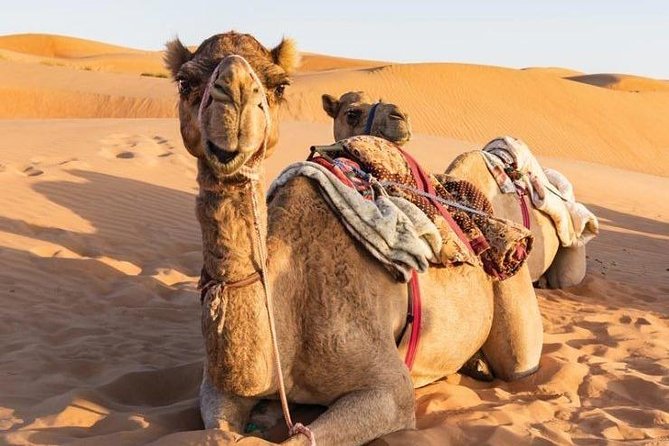 Desert Safari Private - Inclusions and Amenities