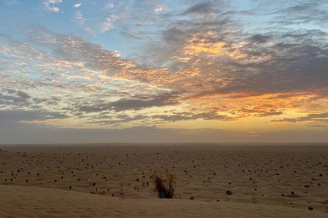 Desert Tours and Adventurous Camel Trekking Through the Sahara - Final Thoughts