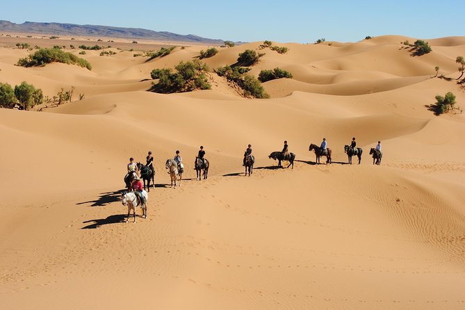 Desert Trail in Morocco on Horseback