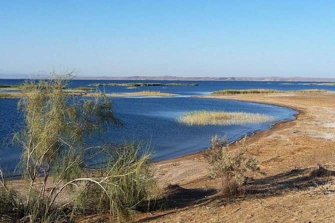 Desert Yurt Camp Tour - 2 Days (Shared) - Inclusions and Exclusions