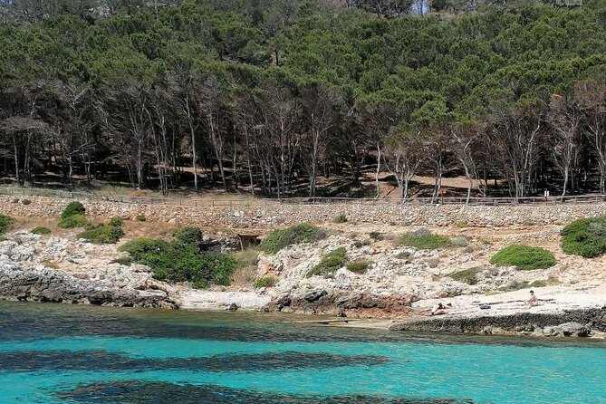 Dinghy Excursion to the Egadi Islands With Tasting on Board