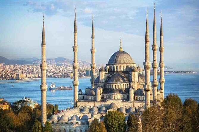 Discounted Ephesus & Istanbul Private Tour From Istanbul - What To Expect During the Tour