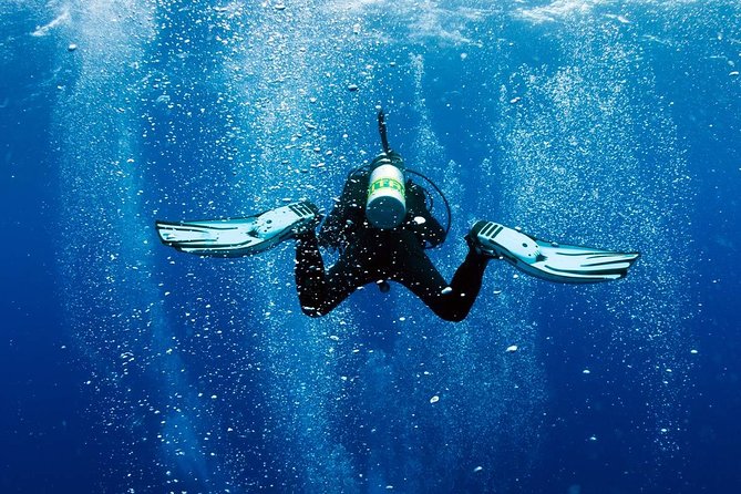 Discover Scuba Diving Experience - Activity Details