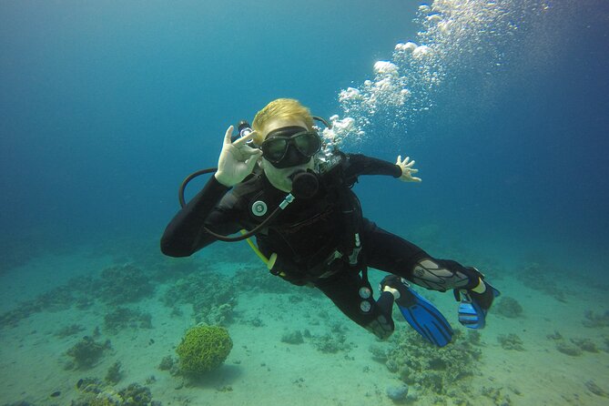 Discover the Depths: Aqabas Ultimate Private Dive Experience - Pricing Information