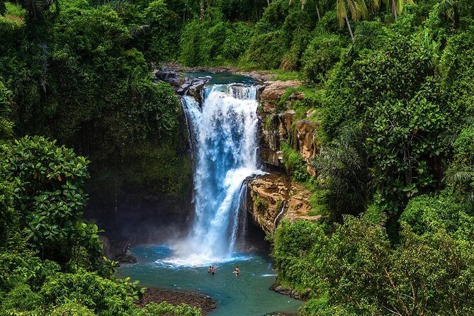 Discover Ubud: Exotism Ubud and Optional Meet the Bali Shaman - Ubud, Indonesia: A Tropical Paradise