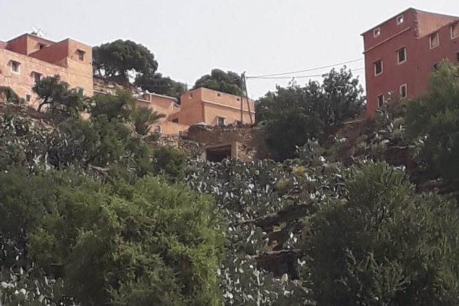 DISCOVERING AGADIR Paradise Valley Excursion and the Imouzer Falls