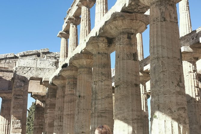 Discovering Napoli,Paestum, Mozzarella&Wine Tasting - Local Cuisine Experience