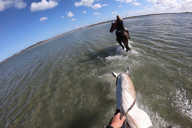 Discovery Ride on Horseback or Camel 2h30 - Reviews
