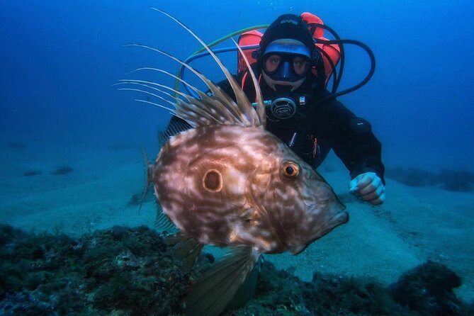 Diving Course With PADI Certification in Costa Brava - Whats Included and Meeting Point