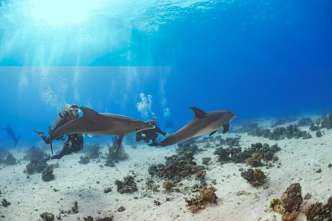 Dolphin House Boat Trip Snorkeling and Watersports in Hurghada