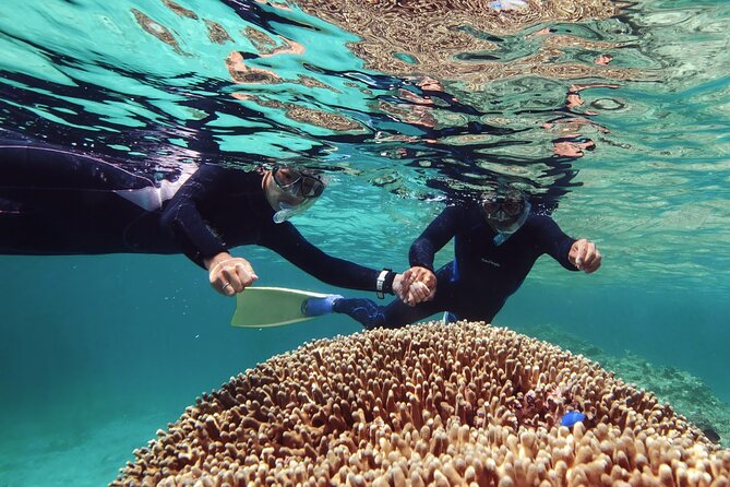 Dolphin Watching & Snorkeling - Cancellation Policy