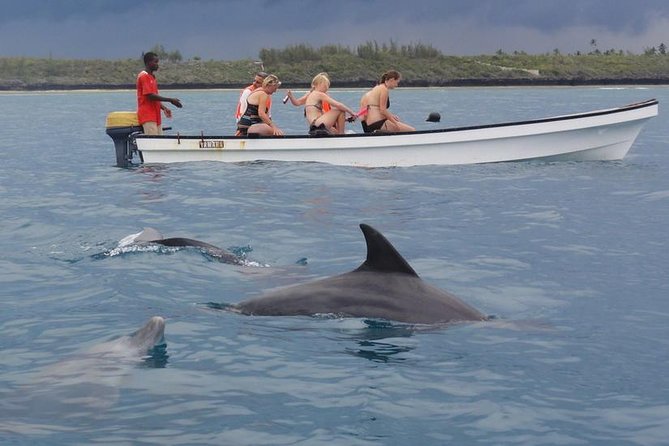 Dolphins Tour - Good To Know