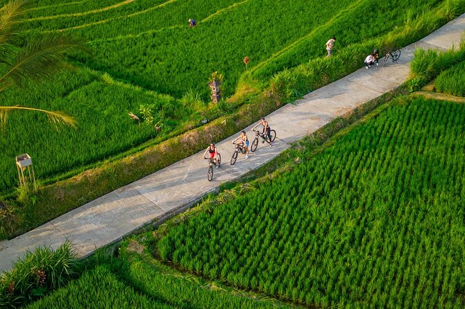 Ebike Ubud Rice Terraces and Traditional Villages Cycling - Tour Highlights