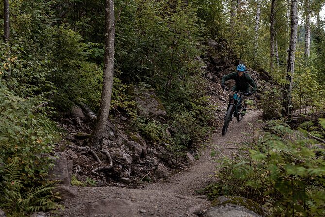 Electric Mountain Bike Ride on Single Track Trails in Oslo - Activity Overview