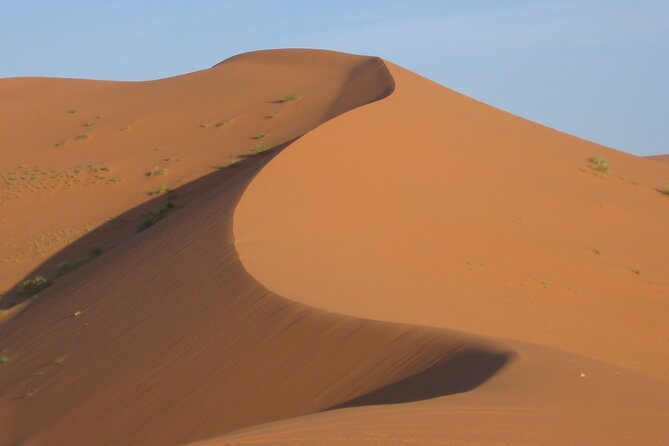 Enjoy the Desert. - Reviews and Price