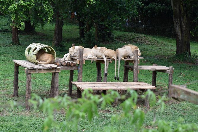 Entebbe Eco Tour - Full Day - What To Prepare
