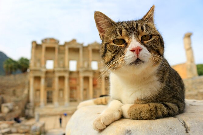 Ephesus Full Day Tour From Izmir - What to Bring