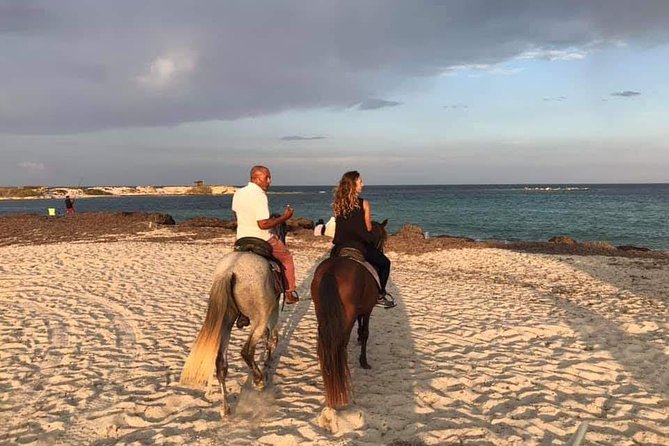 Equestrian Rides - Meeting Point