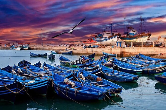 Essaouira City Excursion to the Atlantic Coast of Marrakech - Tour Overview