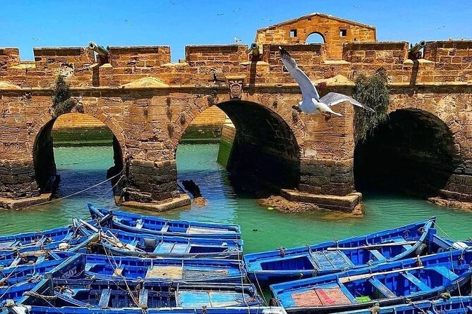 Essaouira Private Full-Day Trip From Marrakech (All-Inclusive) - Trip Overview
