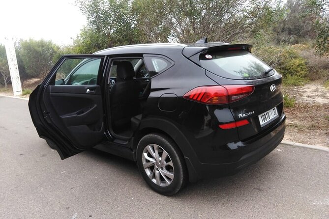 Essaouira: Private Transfer From or to Essaouira Airport (Esu)