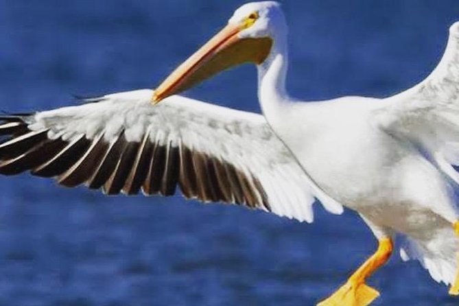 ETHIOPIA BIRDWATCHING— 10 Days - Accommodation Details