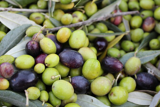 Evo Oil Experience With Oil Tasting and Lunch in the Nature - Location and Menu Details