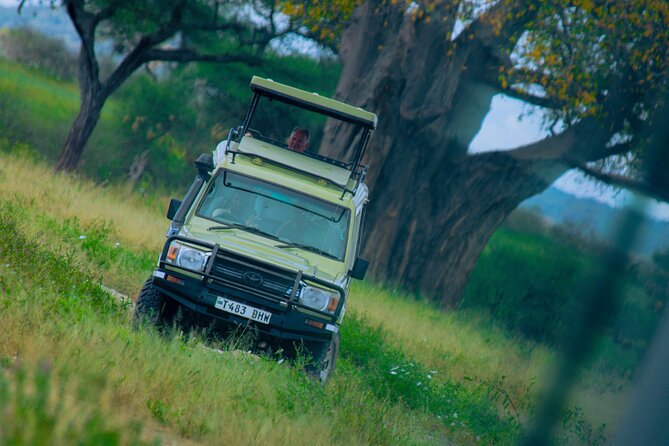 Excursion in Tarangire National Park Day Trip - Pickup Options and Meeting Point