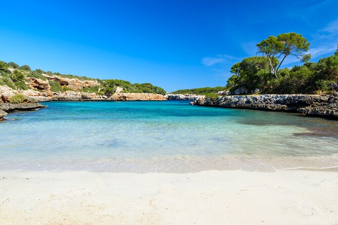 Excursion to Cala Sa Nau, Cala Mitjana, and Cala Marçal - Tour Highlights