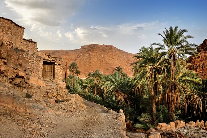 Excursion to Discover the Agadir Desert