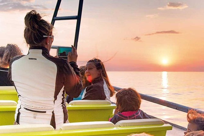 Experience a Sunrise With Dolphins