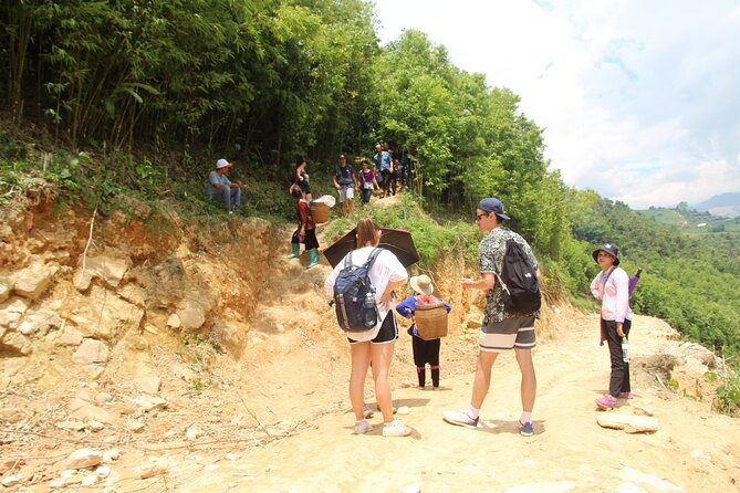 Experience Full Day Tour Sapa Trekking With Local Guide