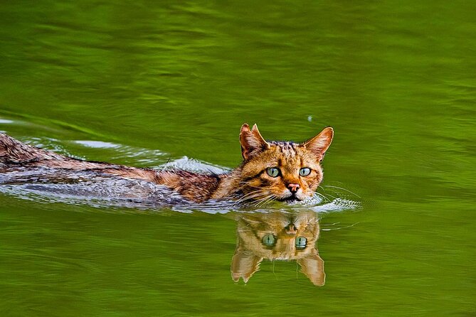 Explore Danube Delta and Black See in 2 Day Private Tour From Bucharest - Itinerary Overview