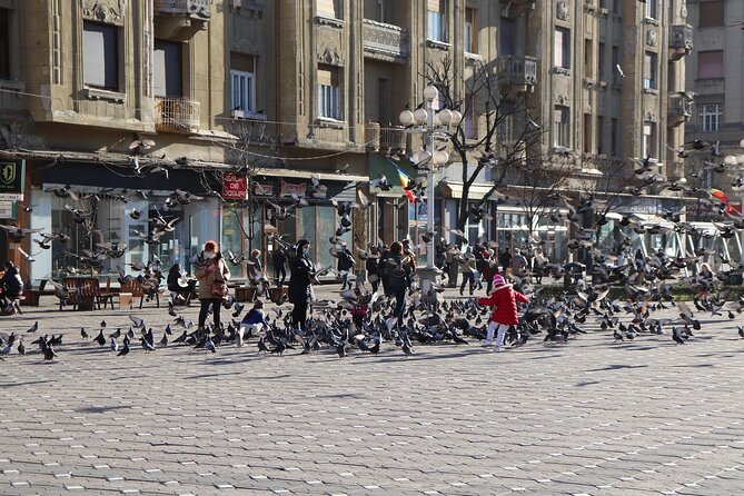 Explore TimișOara in 60 Minutes With a Local - End Point Information