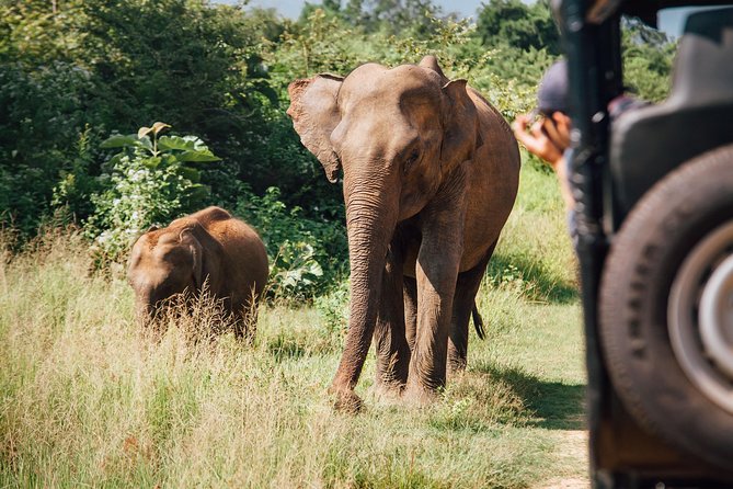 Fairy Tale of Upper Hills- Sigiriya, Kandy, Ella (6 Days)