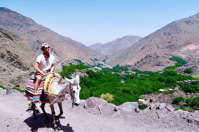 Family Day Tour From Marrakech Atlas Mountains & 3 Valleys With Camel Ride - Tour Highlights