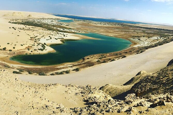 Fayoum Oasis & Wadi Al Rian Day Tour From Cairo - Inclusions and Exclusions