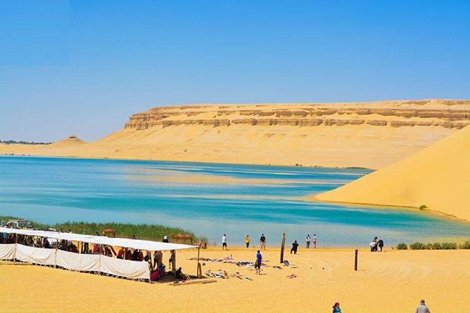 Fayoum Oasis Whales Valley & Waterfalls Day Tour - Whats Included
