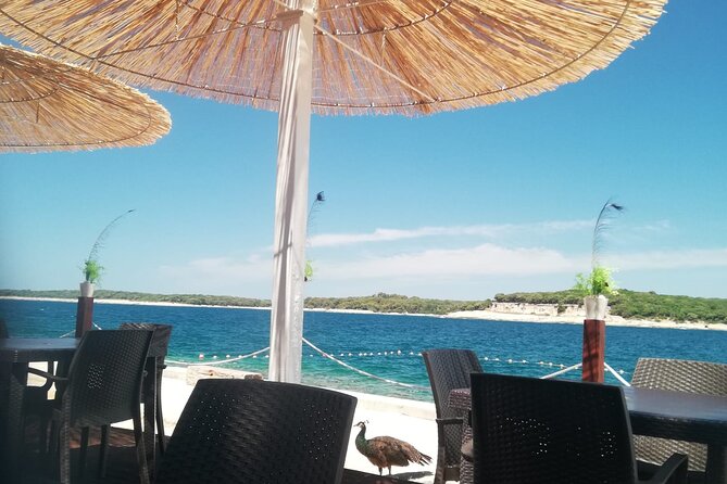 Fazana: (Lunch) Brijuni Islands Cruise & Visit Peacock Island - Tour Details