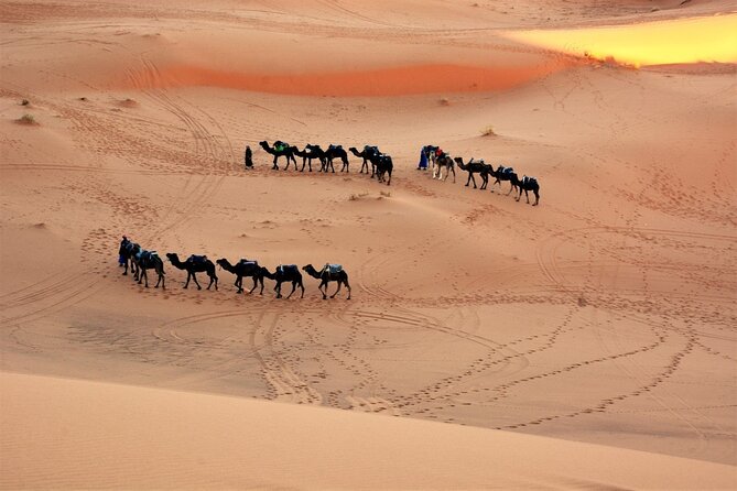 Fes Desert Tour 2 Days - Itinerary Details