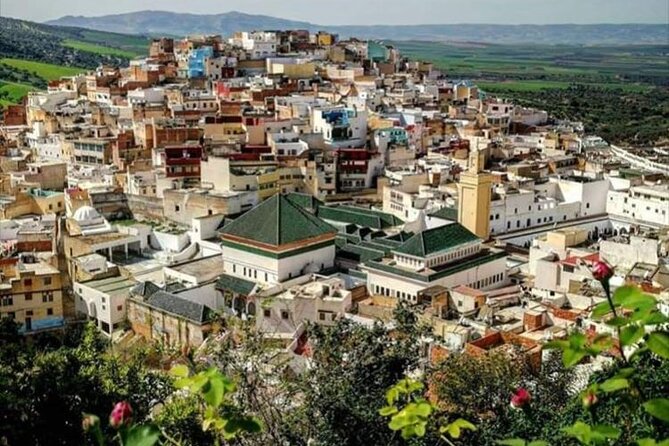 Fès to Volubilis, Moulay Idriss and Meknès Private Day Trip - Inclusions and Exclusions
