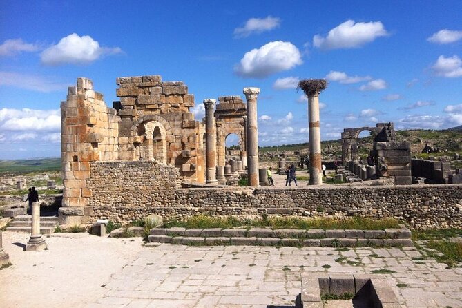 Fez to Volubilis and Meknes Private Full Day Trip - Reviews and Customer Feedback