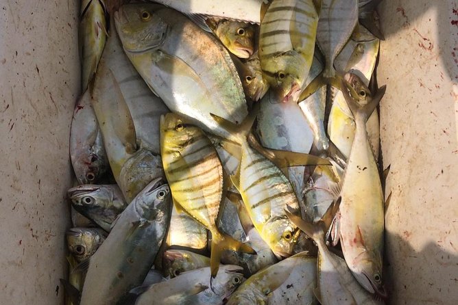 Fishing Trip - Cancellation Policy